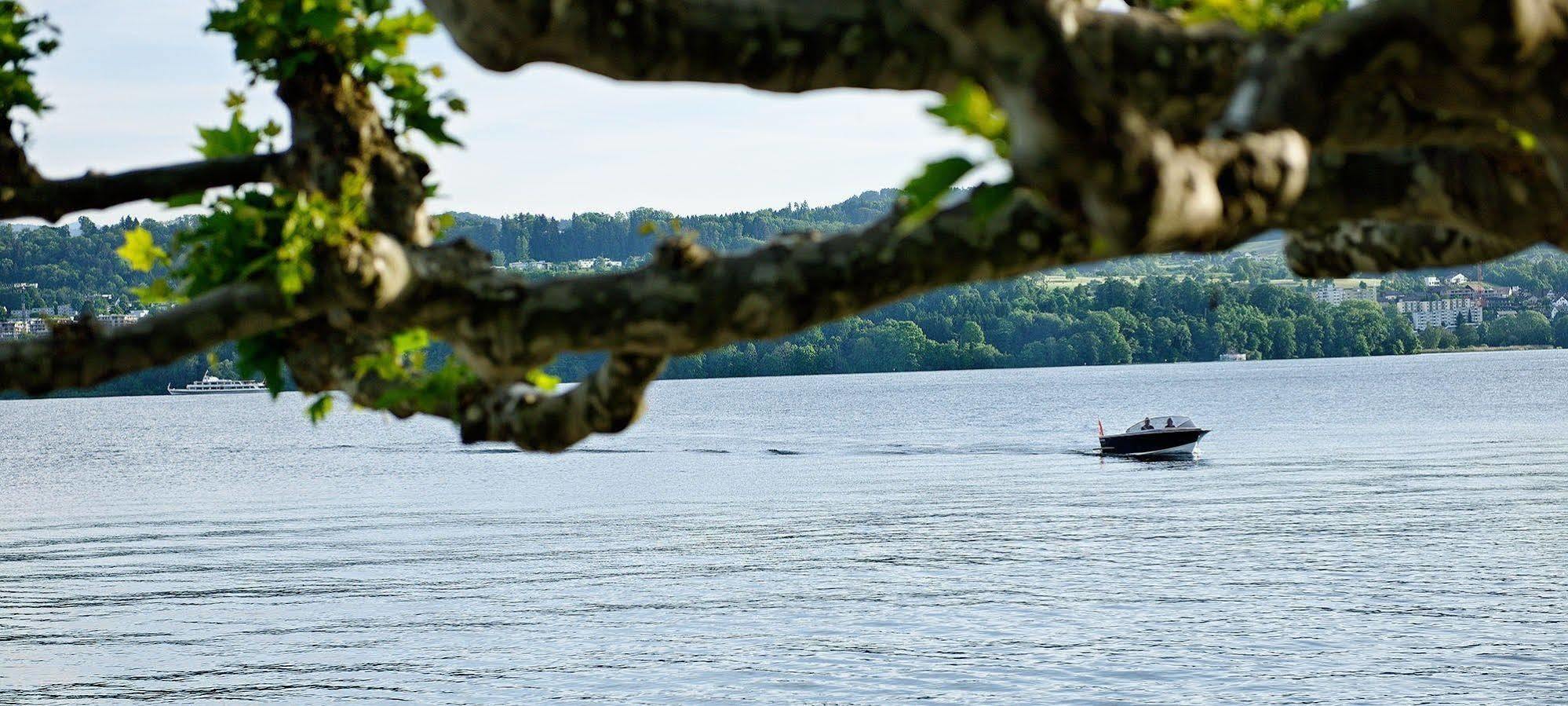 Hotel Hirschen Am See Meilen Dış mekan fotoğraf